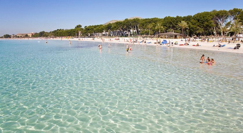 A10 Solecito Alcudia (Mallorca)